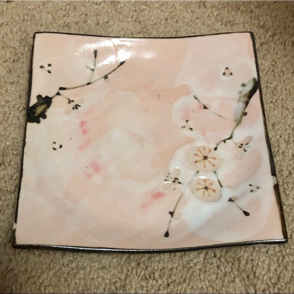 Dish